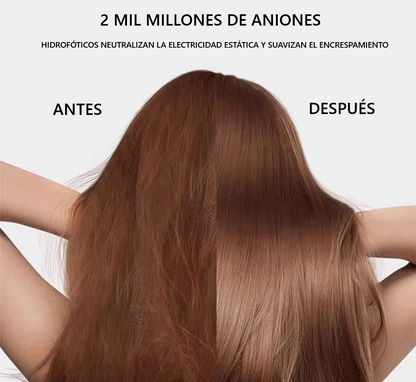 Secador Profesional con Cabezales Imantados